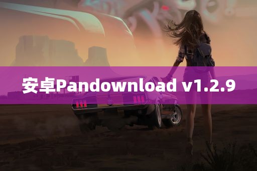 安卓Pandownload v1.2.9