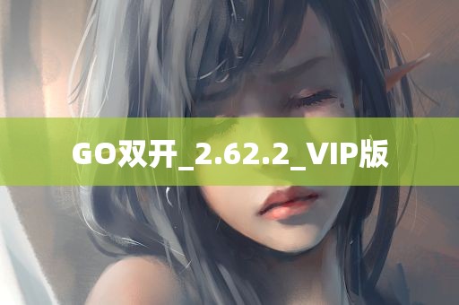 GO双开_2.62.2_VIP版