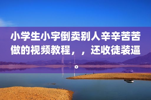 小学生小宇倒卖别人辛辛苦苦做的视频教程，，还收徒装逼。