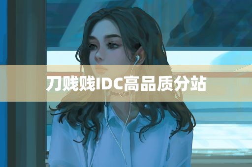 <strong>刀贱贱</strong>IDC高品质分站