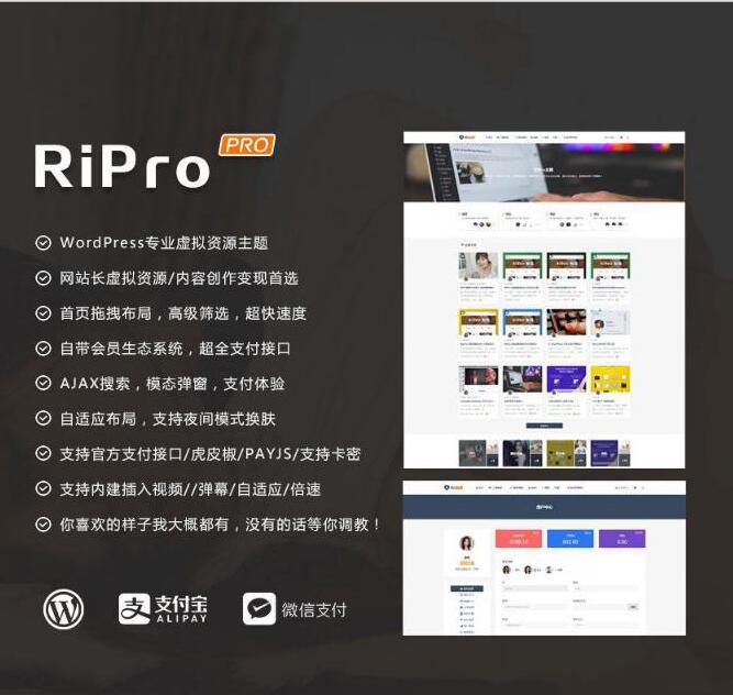  WP+RiPro theme cracked version
