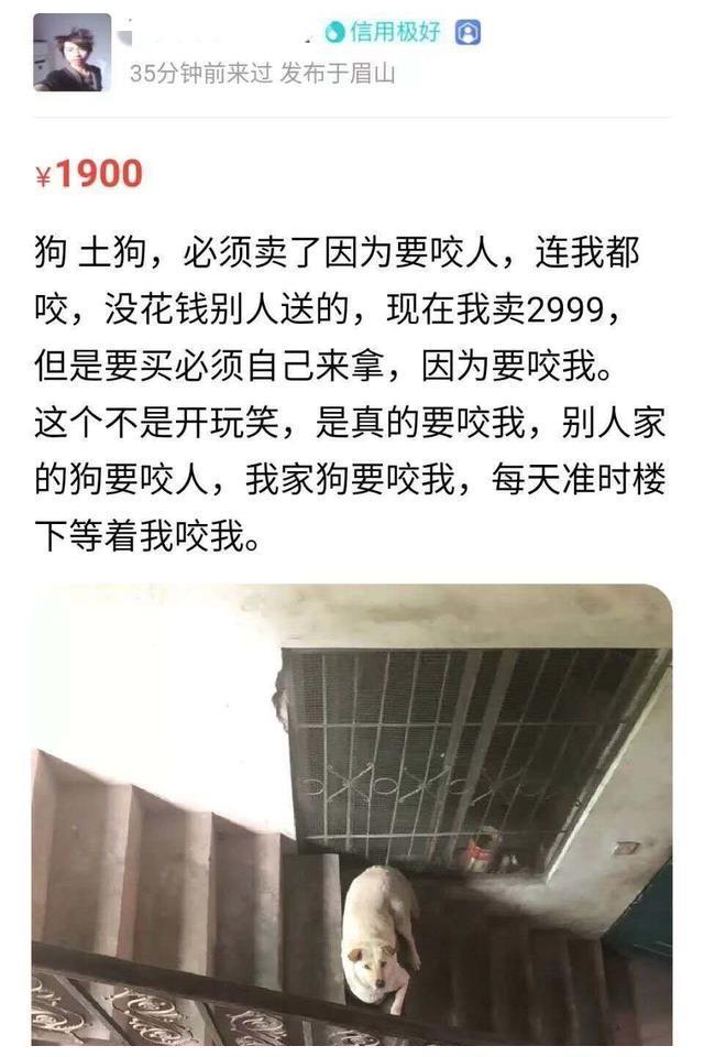 听说闲鱼上什么奇葩东西都有得卖：野生奥特曼、哮天犬应有尽有  第3张